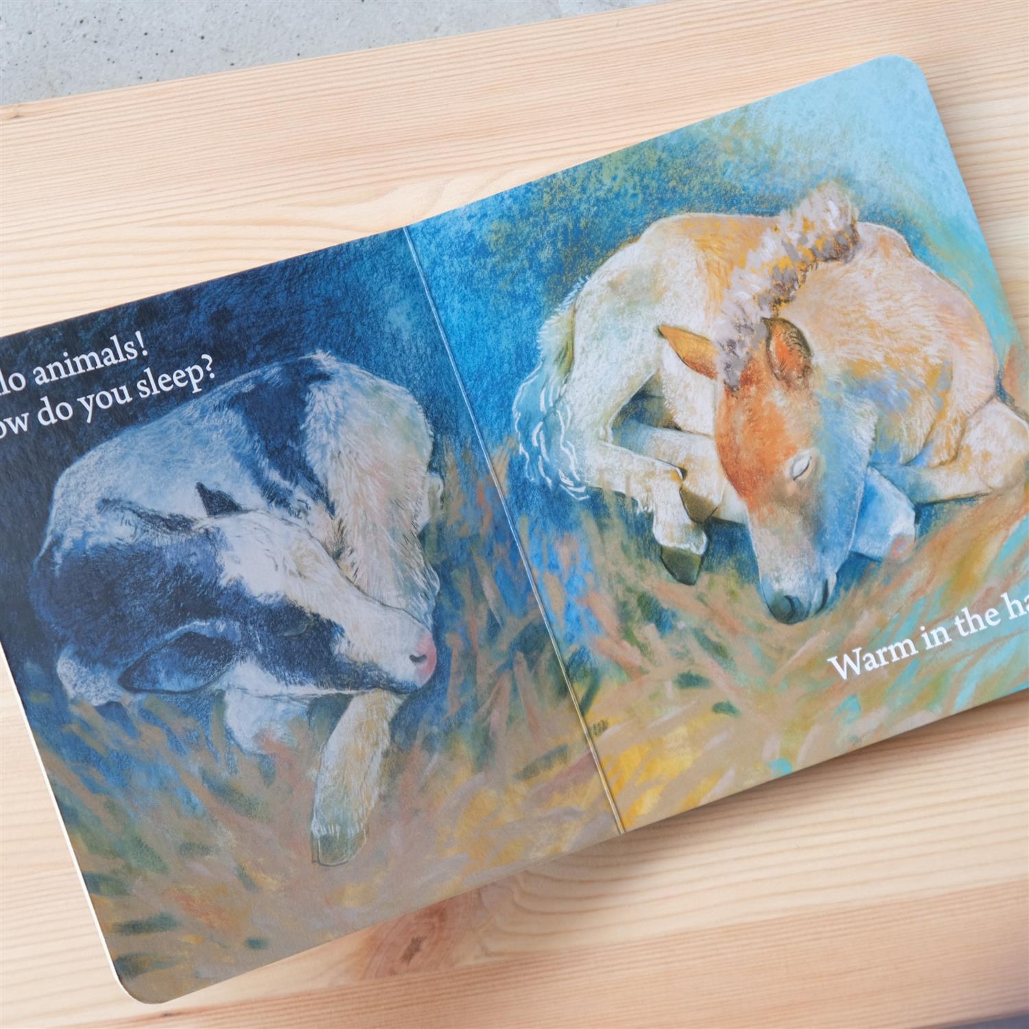 Hello animals, how do you sleep? - Loes Botman