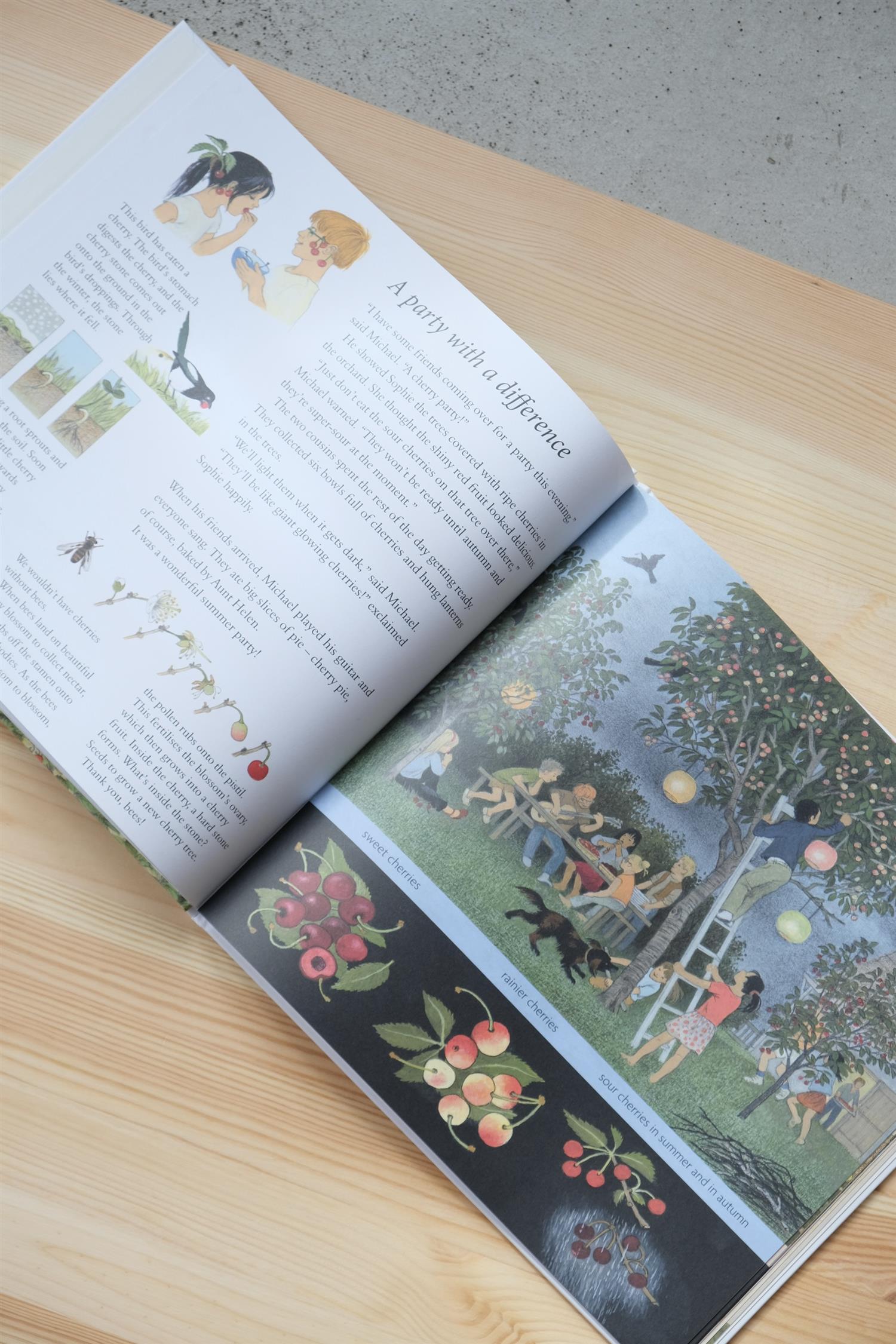 Sam and the Gnome´s Red Hat -Admar Kwant