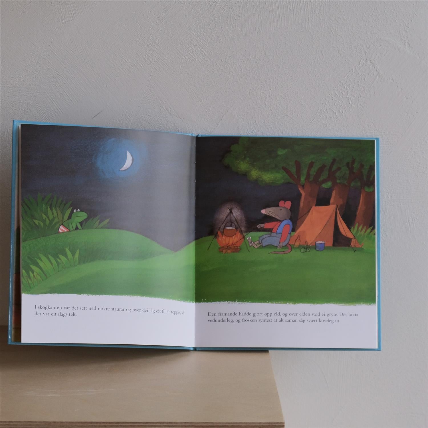 Frosken og den framande - Max Velthuijs